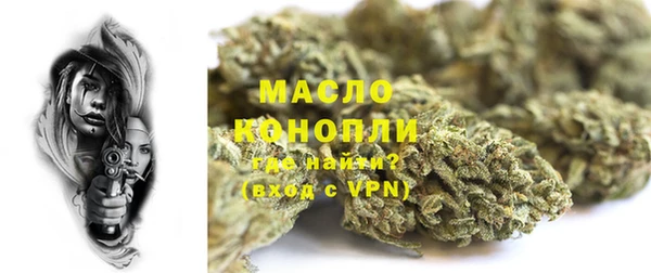 прущие грибы Алзамай