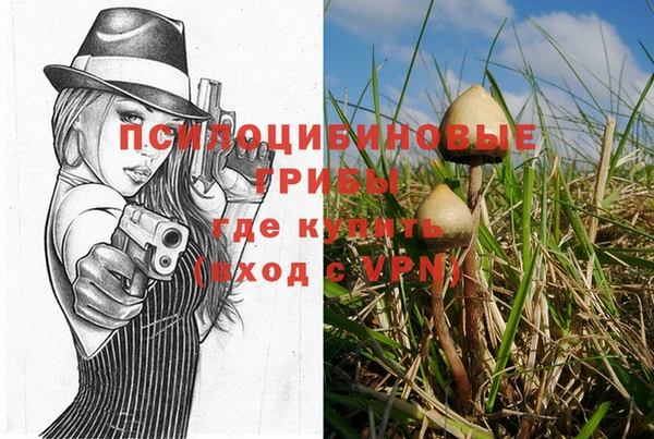 прущая мука Алексин