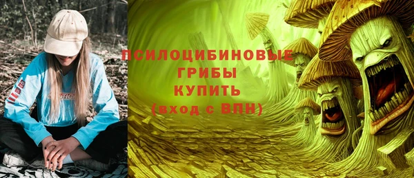 прущие грибы Алзамай