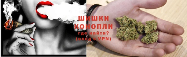 прущие грибы Алзамай