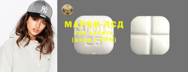 прущие грибы Алзамай