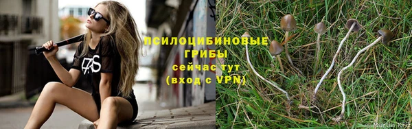 круглые Алексеевка
