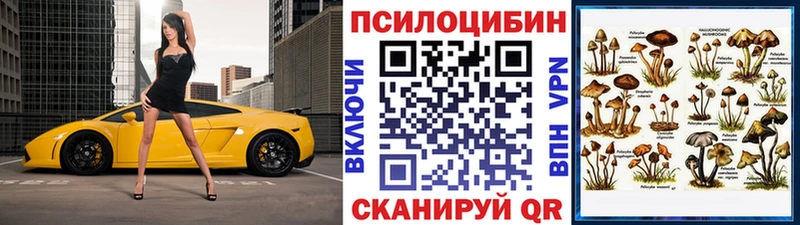 гидра   купить  сайты  Слободской  Галлюциногенные грибы Psilocybine cubensis 